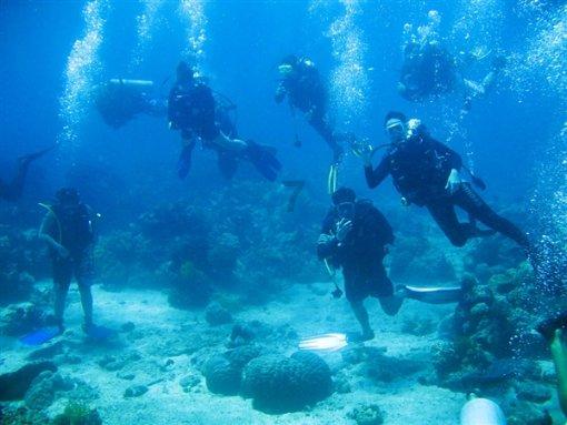 青岛胶东机场海关查获人体细胞美容制剂284支