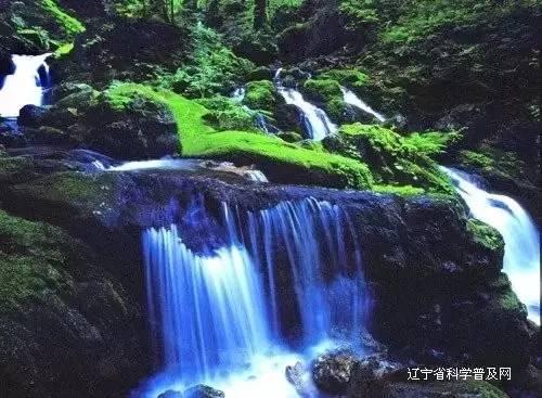 消逝的光芒：信徒