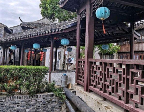动物帮帮忙保卫家园